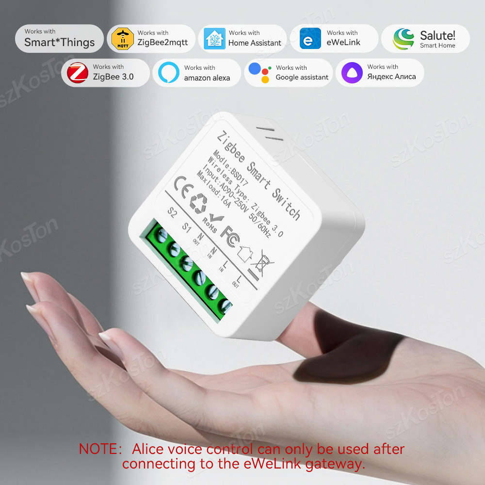 16A Mini ZigBee Smart Switch e - đánh giá và giá Home Automation Diy