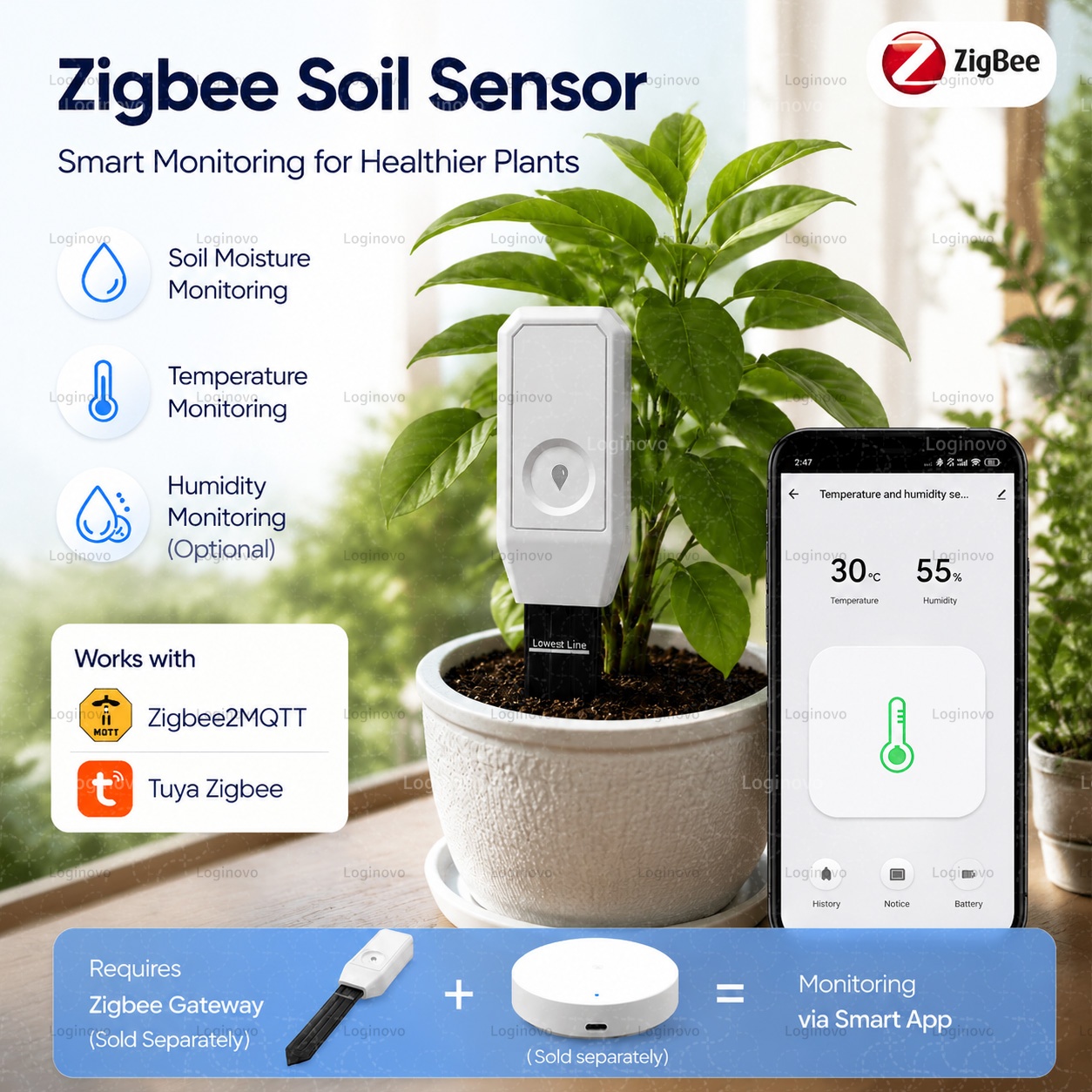 Tuya Zigbee Soil Moisture Test - đánh giá và giá Home Automation Technology