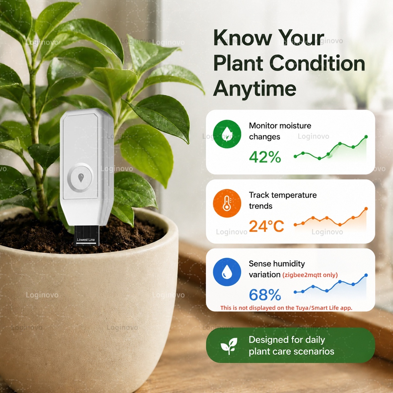 Tuya Zigbee Soil Moisture Test - đánh giá và giá Home Automation Technology