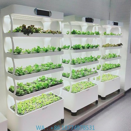 Hydroponic Automated Grow Syst - đánh giá và giá Home Automation Diy